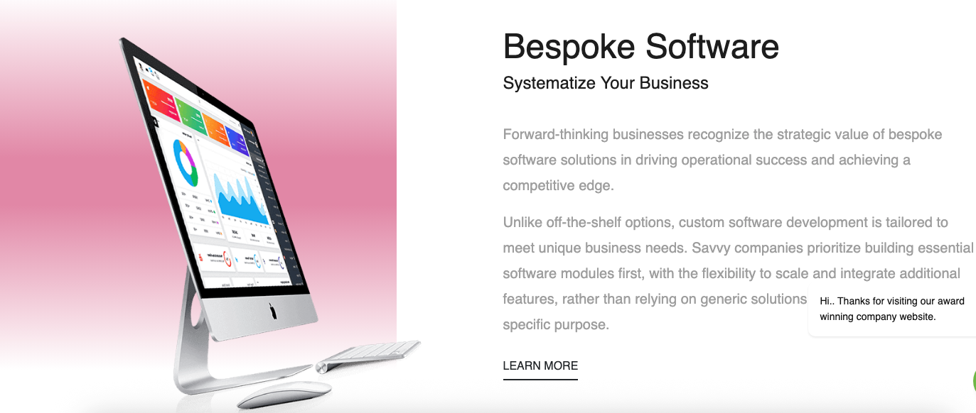 Bespoke Software - Systematize Your Business